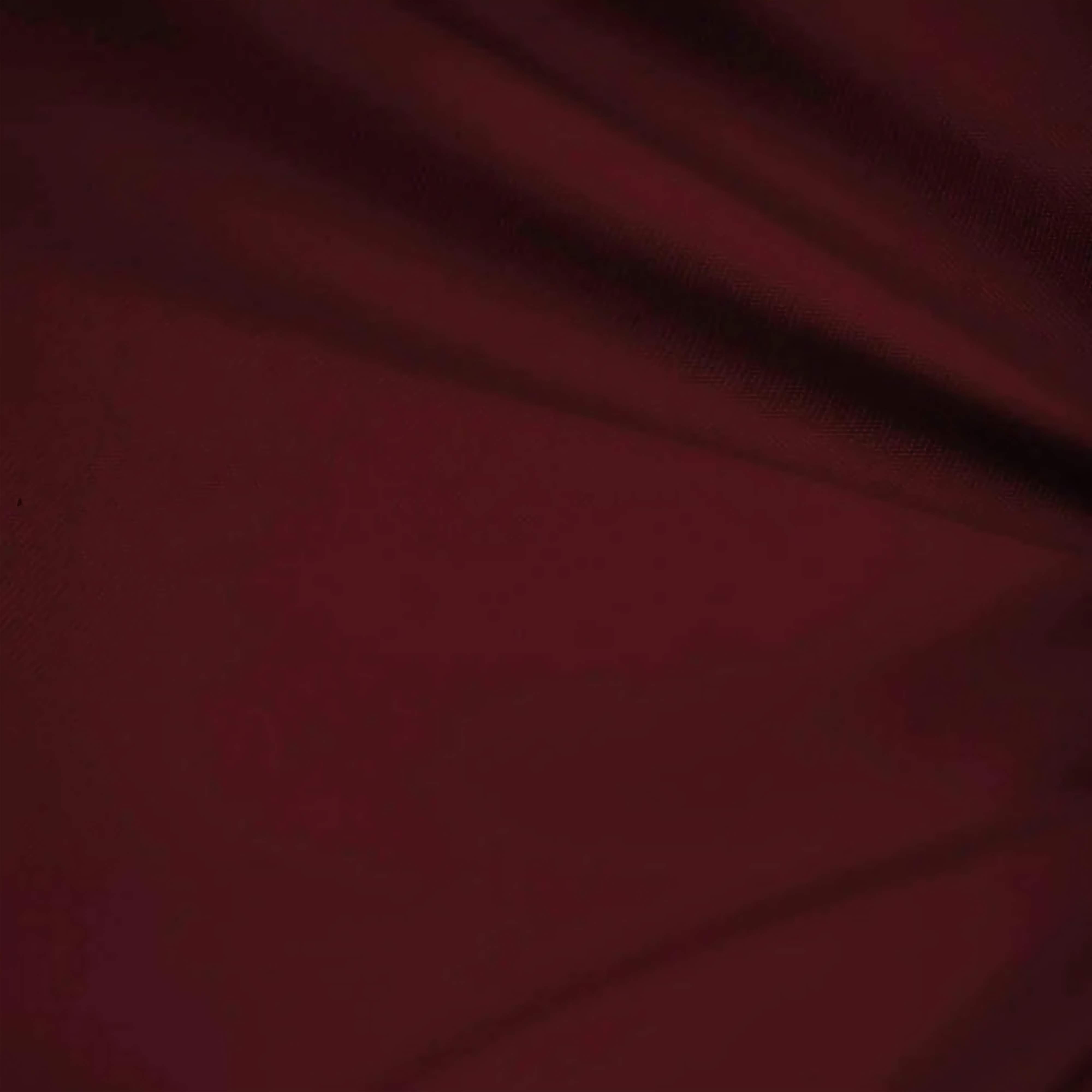 Men's Burgundy Regular Fit Everyday Blazer
